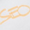 5 Scalable SEO Projects for Faster Results 100x100