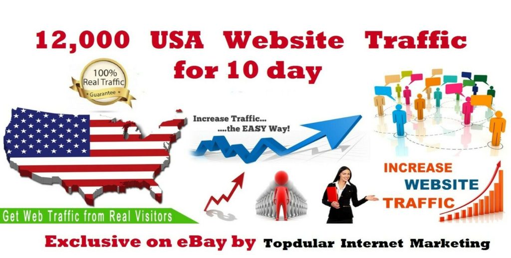12,000 USA Website Traffic for 10 day