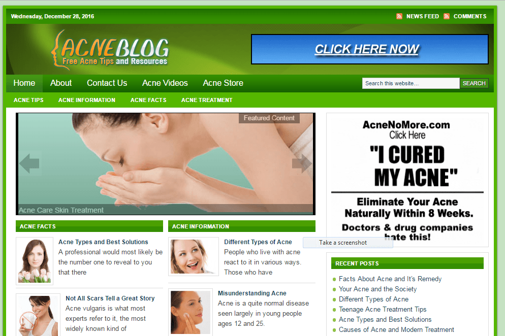 Acne Guide Blog Store Website Free Installation+Hosting