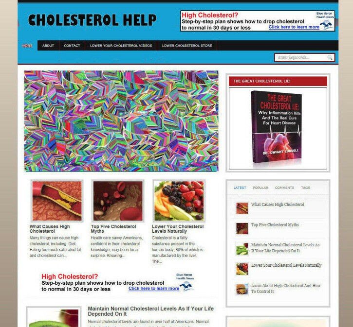CHOLESTEROL ADVICE STORE WEBSITE WITH AFFILIATES & FREE HOSTING + PRO DESIGN
