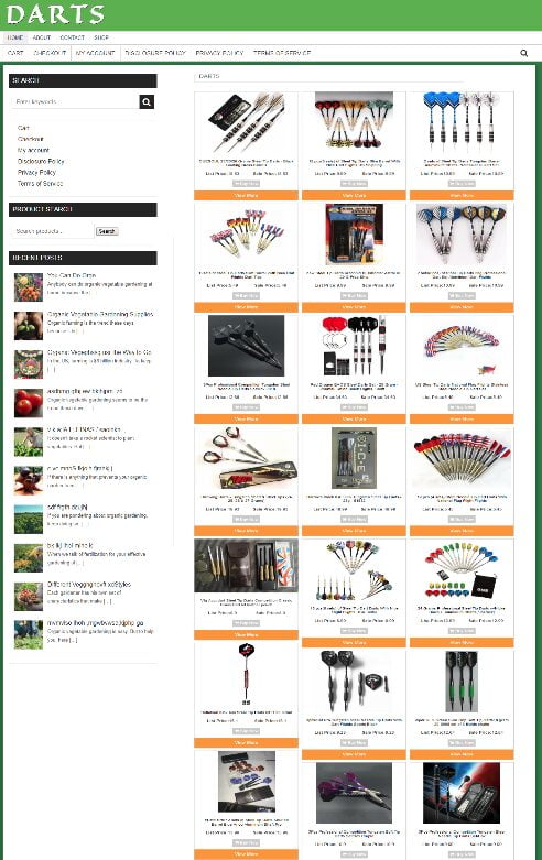 DARTS PLAYER SUPPLIES WEBSITE - 1 YEARS HOSTING - EASY HOME BUSINESS - DOMAIN