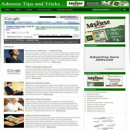 Established 'ADSENSE TIPS & TRICKS' Website Turnkey Business (FREE HOSTING)