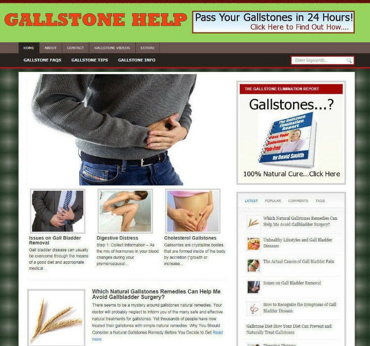 GALLSTONE PAIN ADVICE STORE & AFFILIATE WEBSITE WITH FREE DOMAIN - PRO DESIGN