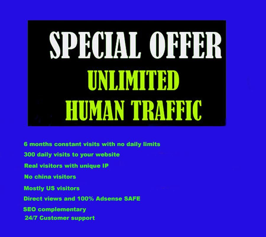 Genuine Unlimited Daily 300+ Website Traffic for 6 months