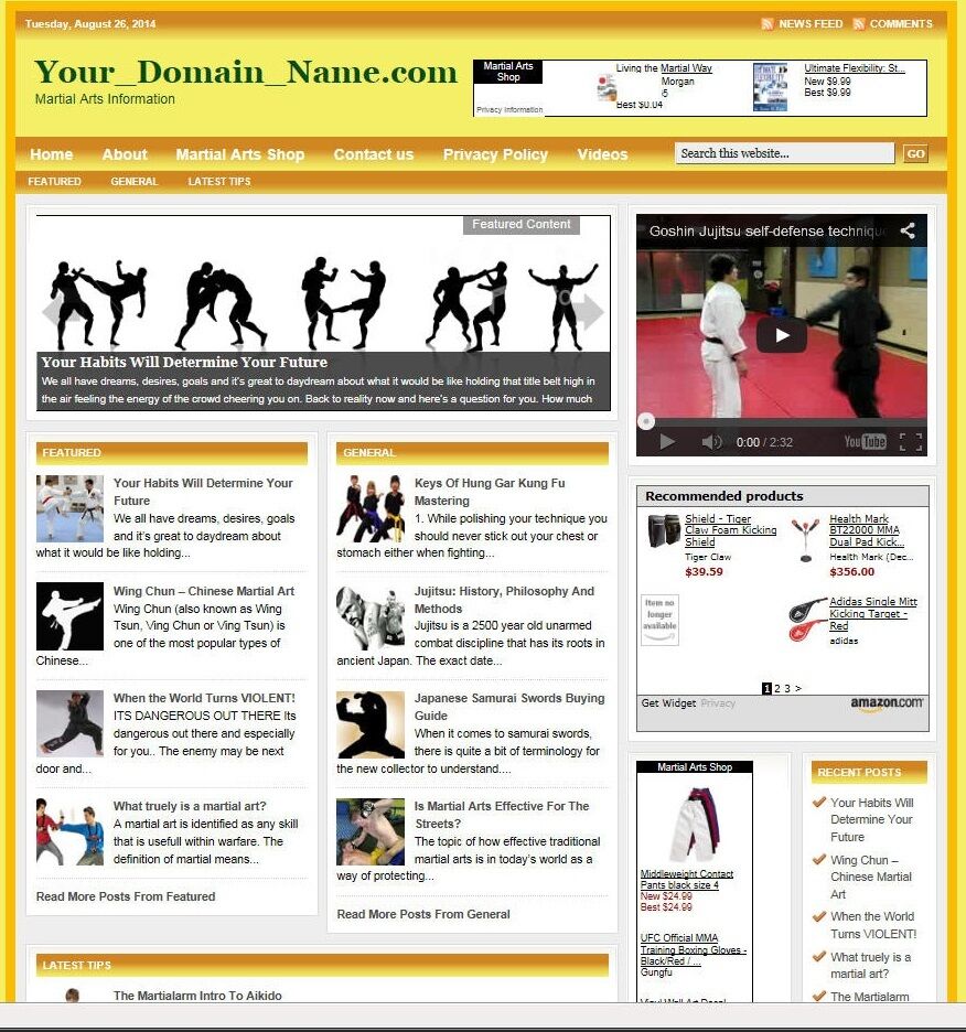 MARTIAL ARTS BLOG & SHOP WEBSITE BUSINESS FOR SALE! with TARGETED SEO CONTENT