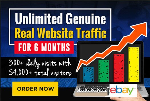 Unlimited Website Traffic For 6 Months