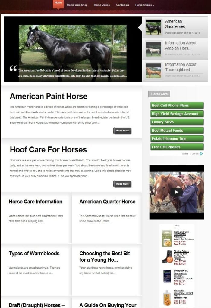 AMAZING HORSE CARE BLOG WEBSITE FOR SALE!
