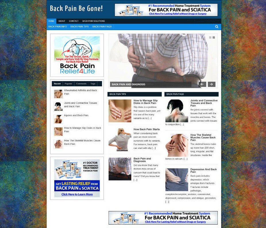 BACK PAIN ADVICE WEBSITE / STORE - AFFILIATES - DOMAIN - HOSTING - PRO THEME