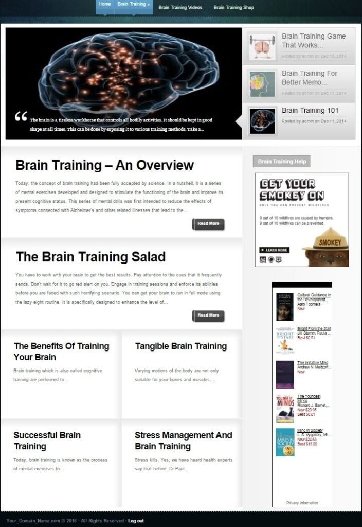 BRAIN TRAINING GAMES WEBSITE BUSINESS FOR SALE! with TARGETED SEO CONTENT!