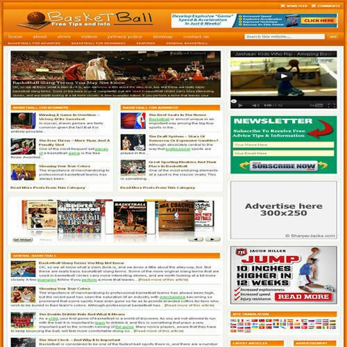 Established 'BASKETBALL' Affiliate Website Turnkey Business (FREE HOSTING)