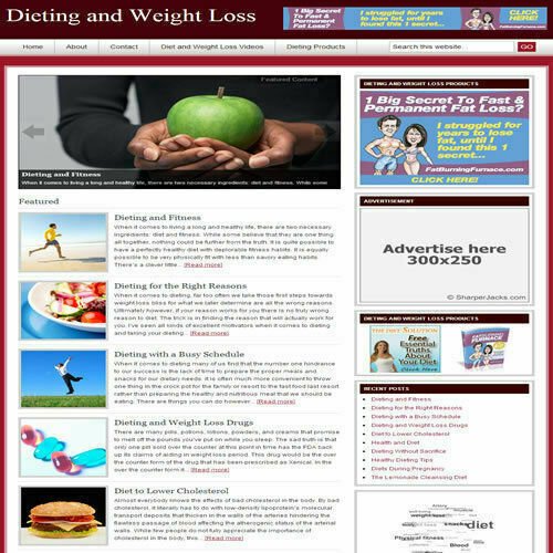 Established 'DIETING & WEIGHT LOSS' Website Turnkey Business (FREE HOSTING)