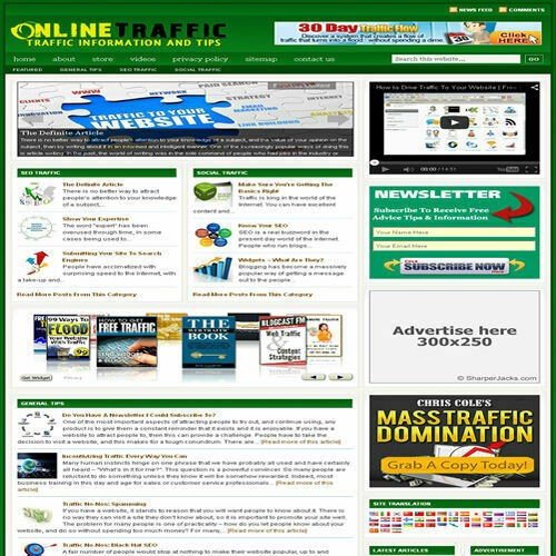 Established 'INTERNET TRAFFIC TIPS' Website Turnkey Business (FREE HOSTING)