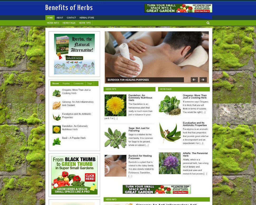 HEALTH WITH HERBS AFFILIATE WEBSITE & STORE WITH NEW DOMAIN - PRO DESIGN
