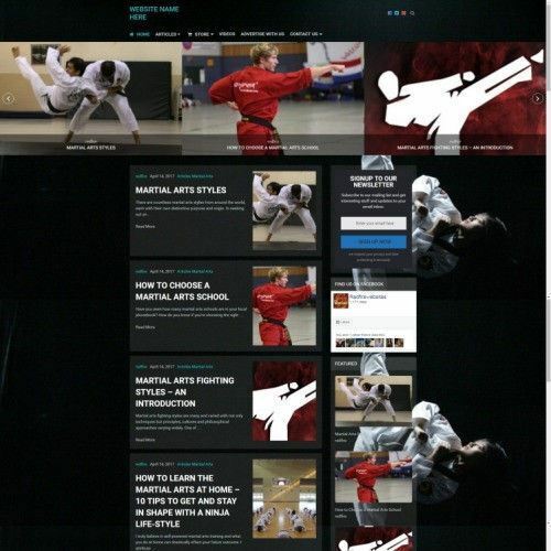 MARTIAL ARTS STORE - Mobile Friendly Responsive Website Business For Sale