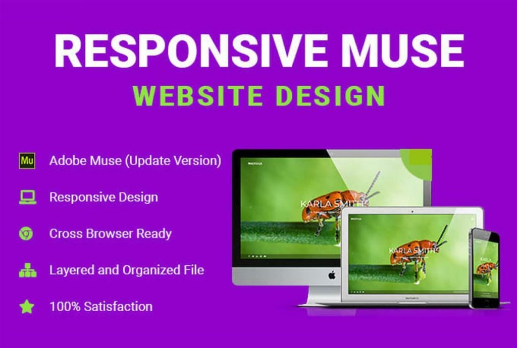 Responsive Adobe Muse Website Design (Bronze Package)