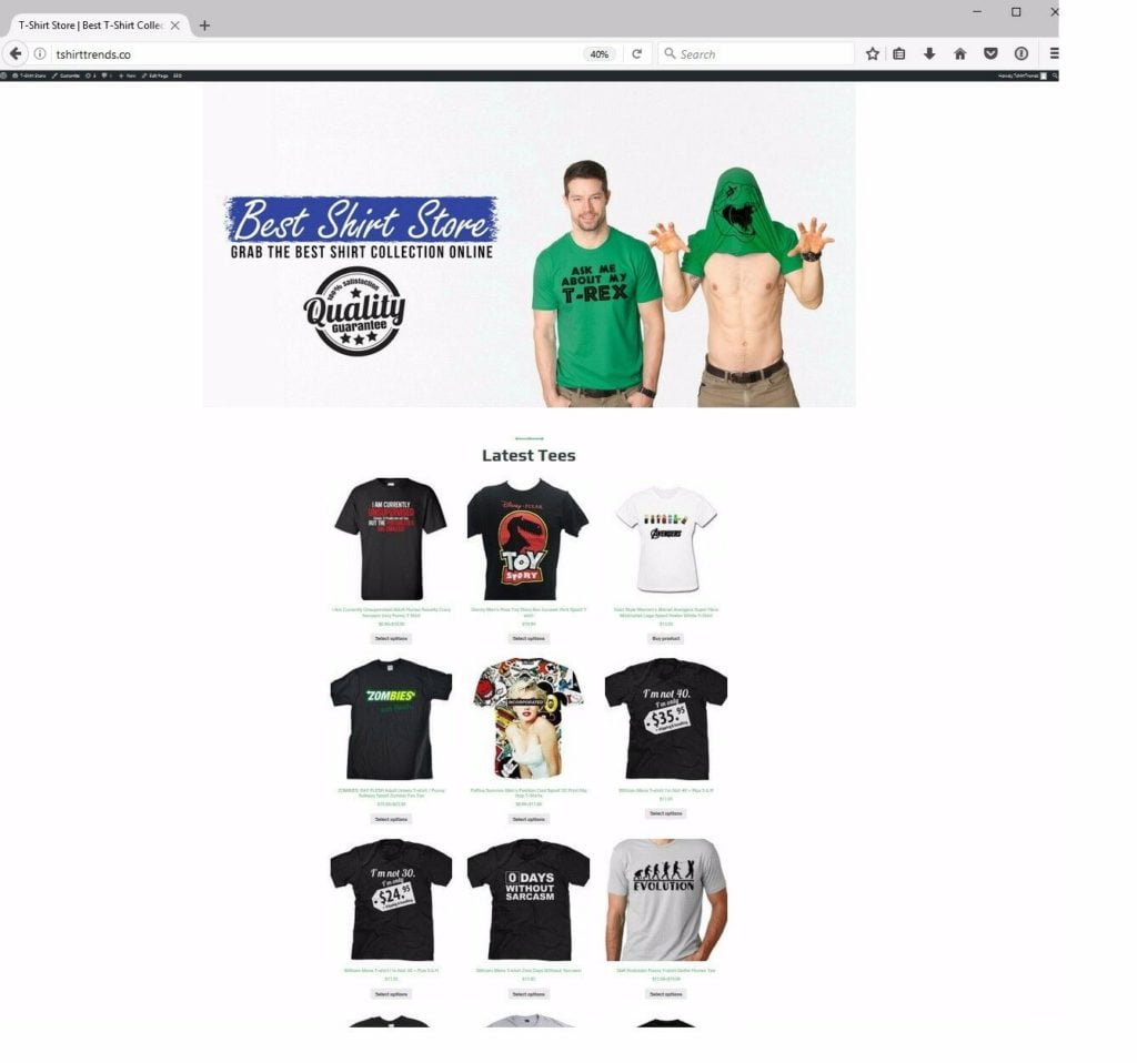 T-Shirt 100% Autopilot Trunkey Dropshipping Niche Site for Amazon Affiliate Web