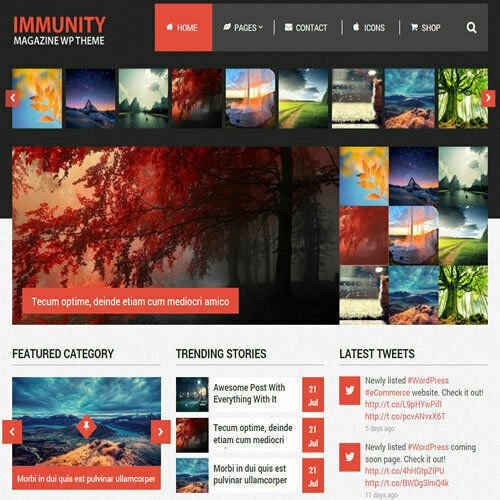 WordPress 'IMMUNITY' Website eCommerce Magazine Theme For Sale (FREE HOSTING)