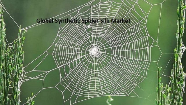 Global Synthetic Spider Silk Market, Global Synthetic Spider Silk Industry, Global Synthetic Spider Silk Market Research Report