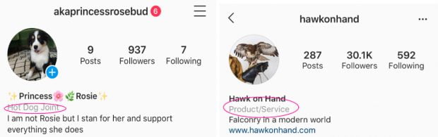 Screenshots of two Instagram profiles that indicate what type of business each account belongs to.