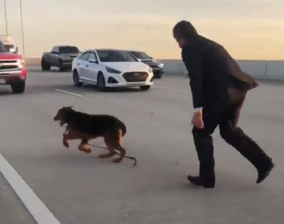 Houston man chases after a dog that got loose on the Beltway 8.