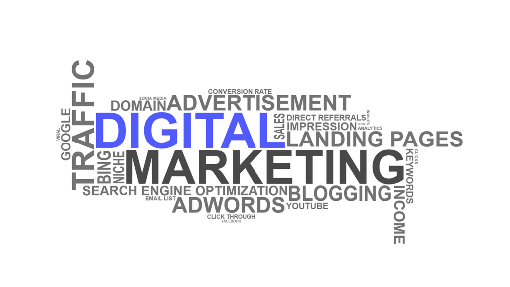 SEO & Digital Marketing