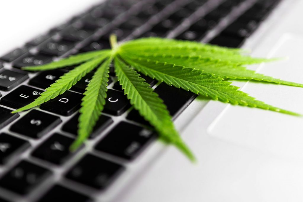 Cannabis Retailers Need Answers to These 6 Questions Before Choosing an Ecommerce Partner