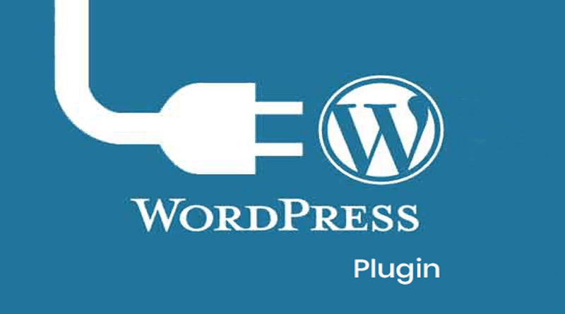 EVERYTHING YOU NEED TO KNOW ABOUT WORPRESS PLUGINS